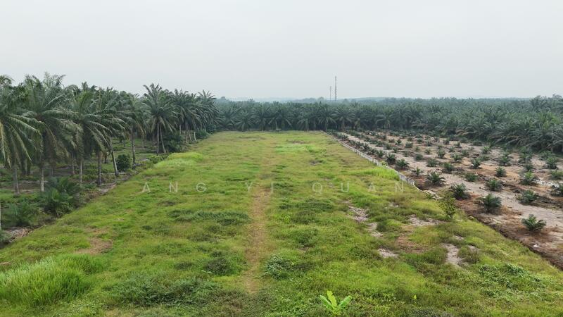 Industrial Land for Sale in Ijok (Selangor) - Ang Yi Quan - Exterior - PropertyGuru.com.my