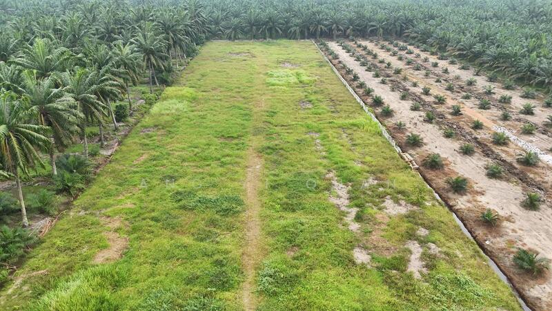 Industrial Land for Sale in Ijok (Selangor) - Ang Yi Quan - Exterior - PropertyGuru.com.my