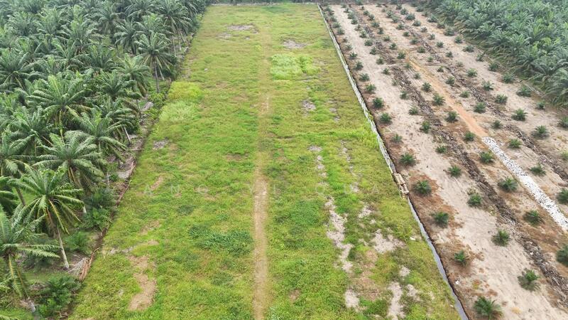 Industrial Land for Sale in Ijok (Selangor) - Ang Yi Quan - Exterior - PropertyGuru.com.my