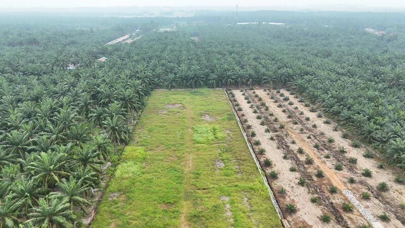 Industrial Land for Sale in Ijok (Selangor) - Ang Yi Quan - Exterior - PropertyGuru.com.my