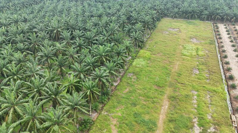 Industrial Land for Sale in Ijok (Selangor) - Ang Yi Quan - Exterior - PropertyGuru.com.my