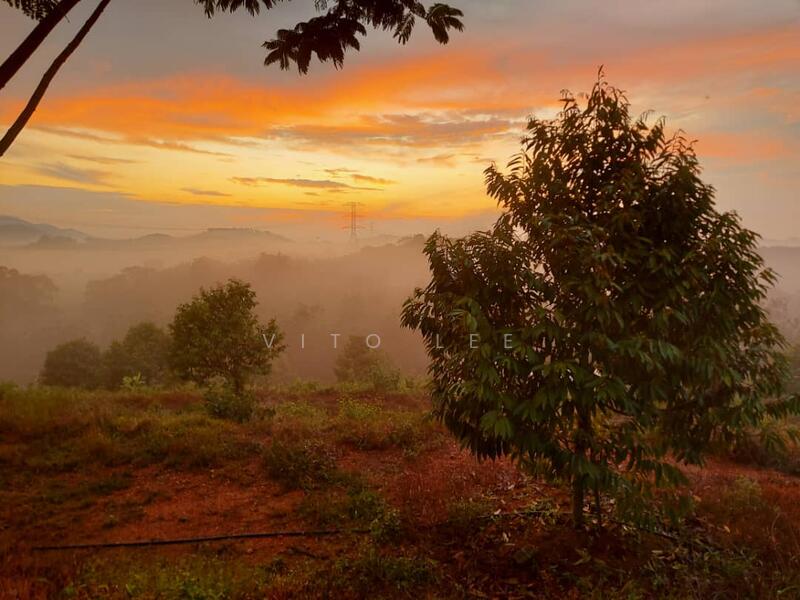 Agricultural Land for Sale in Ayer Paabas (Alor Gajah) - Vito Lee - Exterior - PropertyGuru.com.my