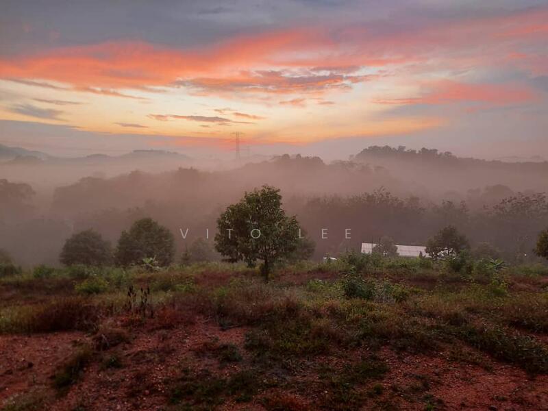Agricultural Land for Sale in Ayer Paabas (Alor Gajah) - Vito Lee - Exterior - PropertyGuru.com.my
