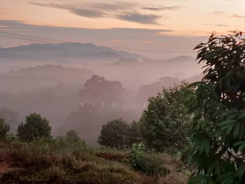 Agricultural Land for Sale in Ayer Paabas (Alor Gajah) - Vito Lee - Exterior - PropertyGuru.com.my