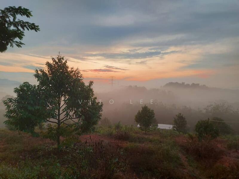 Agricultural Land for Sale in Ayer Paabas (Alor Gajah) - Vito Lee - Exterior - PropertyGuru.com.my