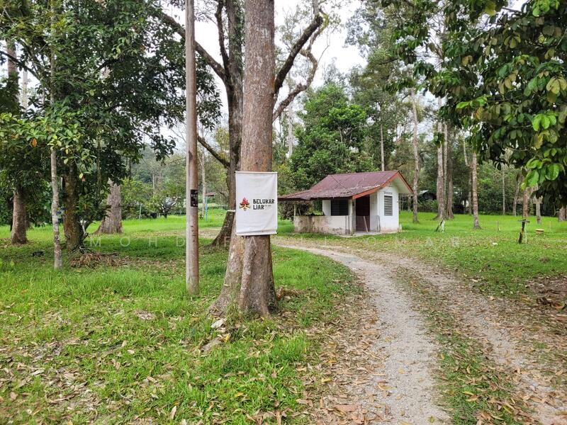 Sebelah Dusun Durian
