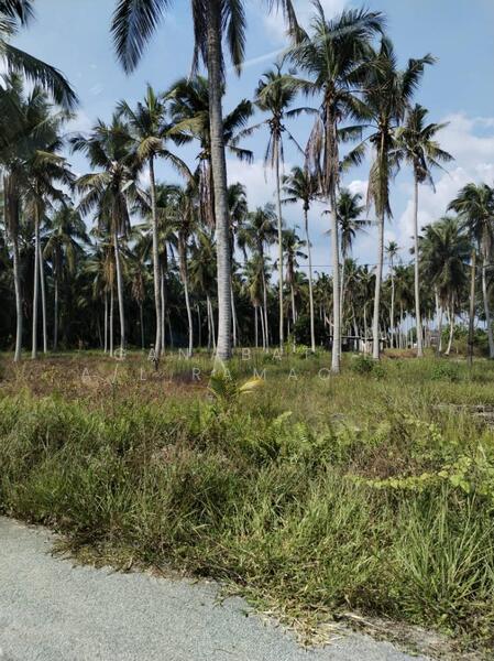 Tanah Pertanian untuk Dijual di Kampung Serdang (Sitiawan) - Ganabathi A/L Ramachandran - Exterior - PropertyGuru.com.my