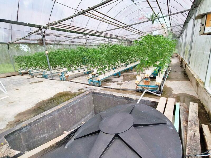 For Sale - Kampung Batang Benar