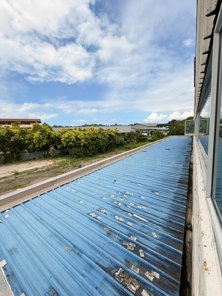Warehouse for Rent in Kota Kinabalu (Sabah) - Celine Teah - Roof - PropertyGuru.com.my