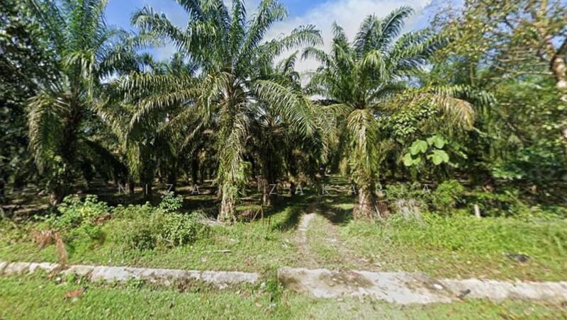 Agricultural Land for Sale in Tanjung Malim (Perak) - Nizam Zakaria - Exterior - PropertyGuru.com.my