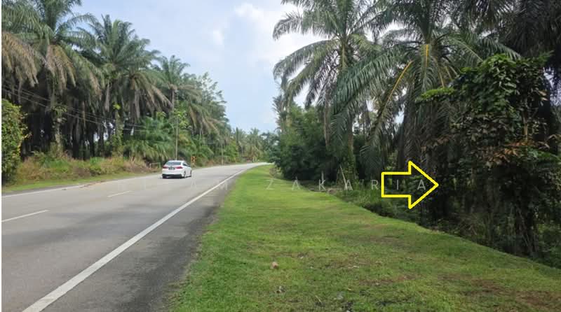 Agricultural Land for Sale in Tanjung Malim (Perak) - Nizam Zakaria - Exterior - PropertyGuru.com.my