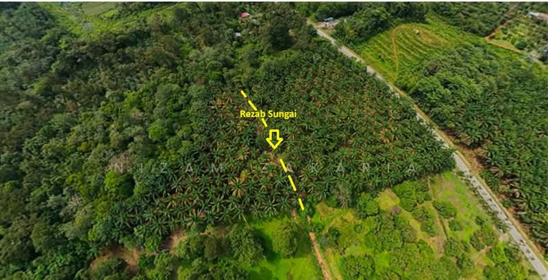 Agricultural Land for Sale in Tanjung Malim (Perak) - Nizam Zakaria - PropertyGuru.com.my