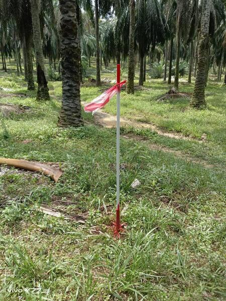 Agricultural Land for Sale in Puncak Alam (Selangor) - Iqbal Rafei - Exterior - PropertyGuru.com.my