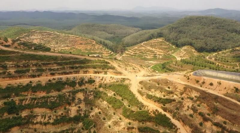 Agricultural Land for Sale in Telemong (Pahang) - Connie Tong - Exterior - PropertyGuru.com.my