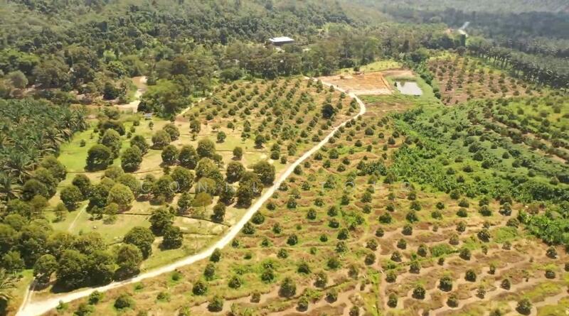 Agricultural Land for Sale in Telemong (Pahang) - Connie Tong - Exterior - PropertyGuru.com.my