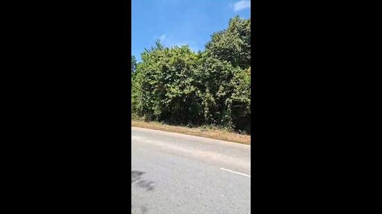 Agricultural Land for Sale in Padang Terap (Kedah) - Rizal Razak - PropertyGuru.com.my