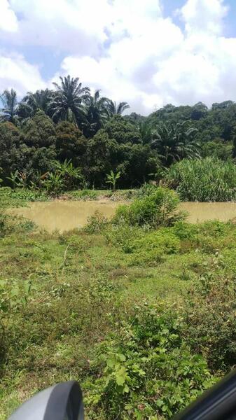 Agricultural Land for Sale in Dengkil (Selangor) - Izzati Radin - Exterior - PropertyGuru.com.my