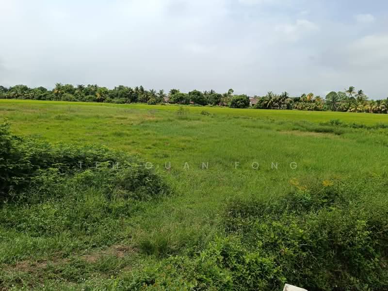 Residential Land for Sale in Kulim (Kedah) - Teh Guan Fong - Exterior - PropertyGuru.com.my