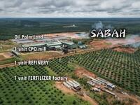 For Sale - Sabah 18,000acre Palm Oil Land