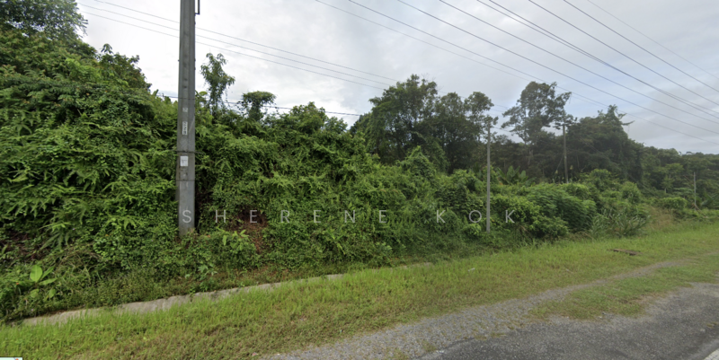 Agricultural Land for Sale in Serian (Sarawak) - Sherene Kok - Exterior - PropertyGuru.com.my