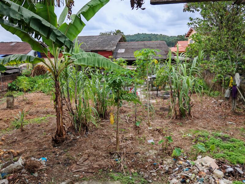 Rumah Berkembar untuk Disewa di Kampung Baru (Ulu Tiram) - Soh Chai Seng - Exterior - PropertyGuru.com.my