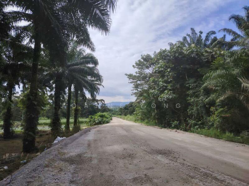Tanah Perindustrian untuk Dijual di Pekan Nanas (Johor) - Joanne Yong - Exterior - PropertyGuru.com.my