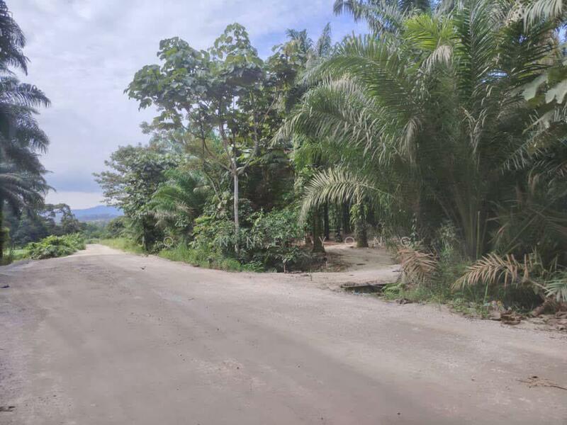 Tanah Perindustrian untuk Dijual di Pekan Nanas (Johor) - Joanne Yong - Exterior - PropertyGuru.com.my