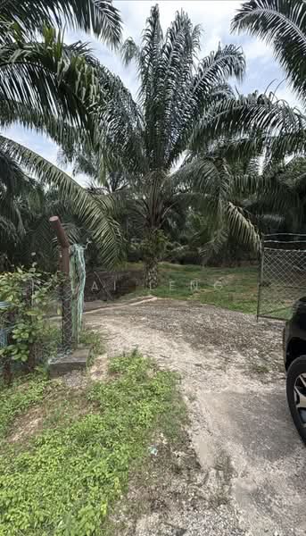 Agricultural Land for Sale in Kuala Sawah (Rantau) - Lai Leng - Exterior - PropertyGuru.com.my