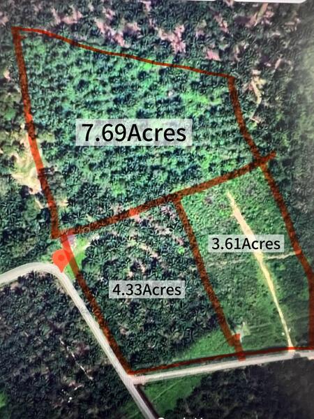 For Sale - Pekan Nana Pekans Nanas