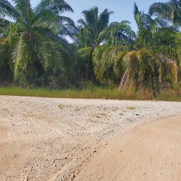 Untuk Dijual - Sabak Bernam