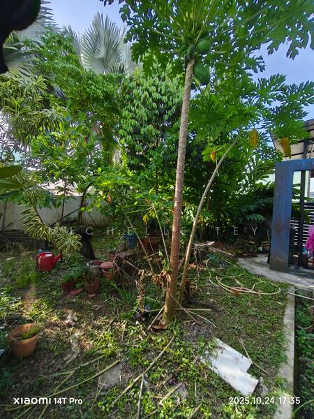 2-storey Terraced House for Sale in Taman Setia Indah (Tebrau) - Michelle Tey - Garden - PropertyGuru.com.my