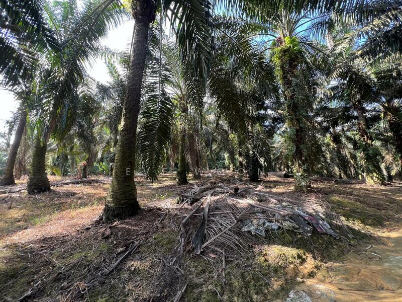 Industrial Land for Sale in Kulai (Johor) - Eve Woon - Exterior - PropertyGuru.com.my