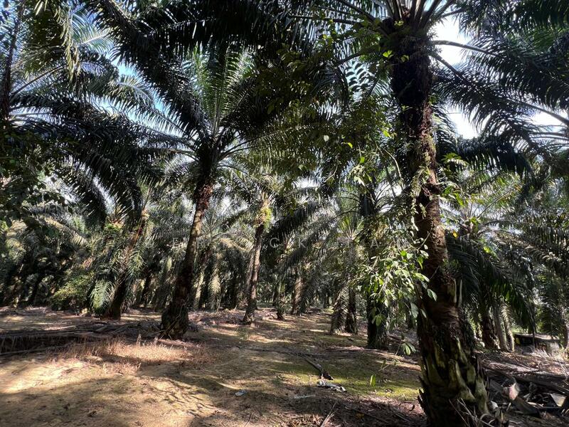 Industrial Land for Sale in Kulai (Johor) - Derrick Tan - Exterior - PropertyGuru.com.my