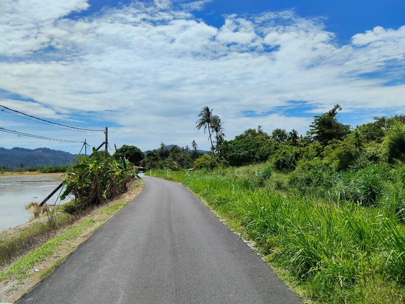 Agricultural Land for Sale in Balik Pulau (Penang) - Alex Loh - Exterior - PropertyGuru.com.my