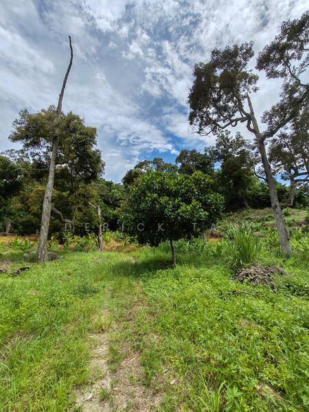 Tanah Pertanian untuk Dijual di Teluk Kumbar (Penang) - Derick Tan - PropertyGuru.com.my