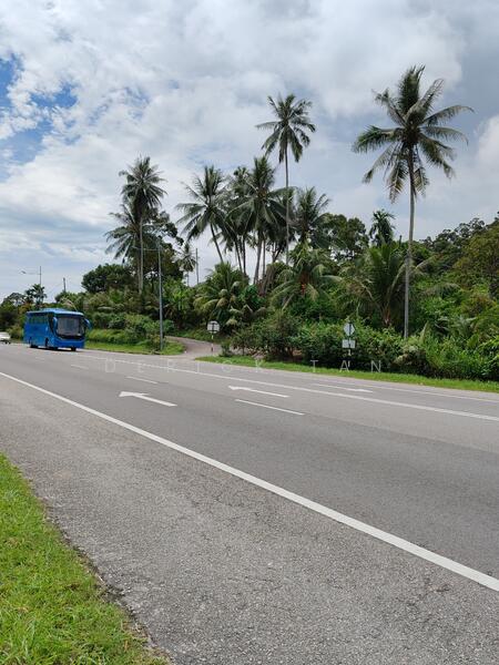 Tanah Pertanian untuk Dijual di Teluk Kumbar (Penang) - Derick Tan - PropertyGuru.com.my
