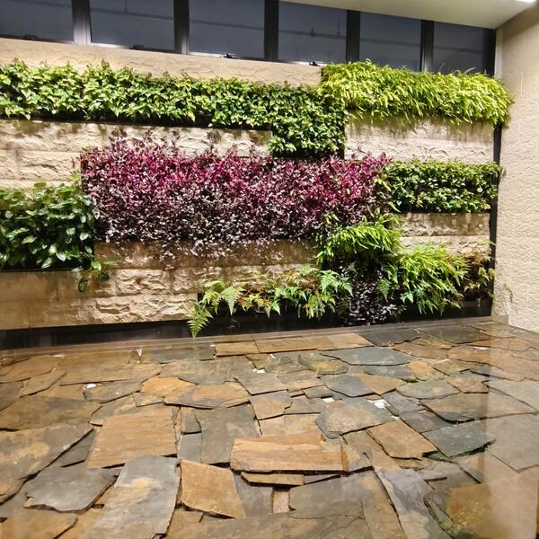 Entrance Surrounding