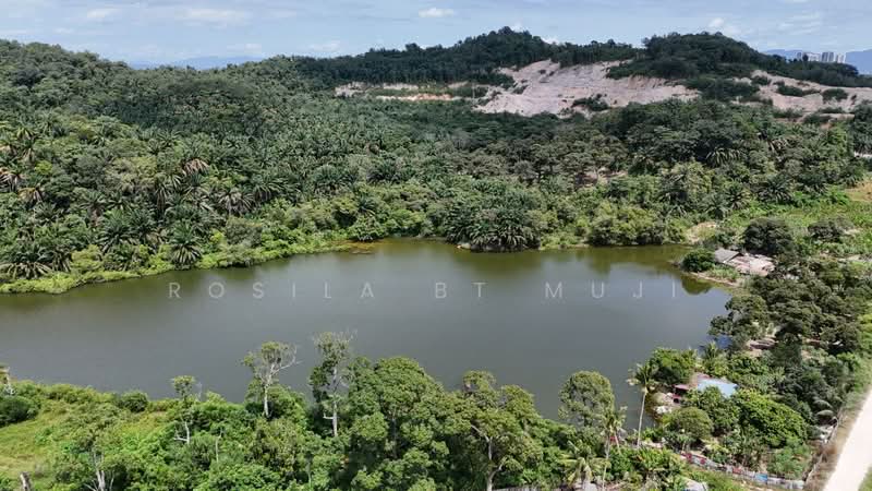 Agricultural Land for Sale in Bangi (Selangor) - Rosila bt Muji - Garden - PropertyGuru.com.my