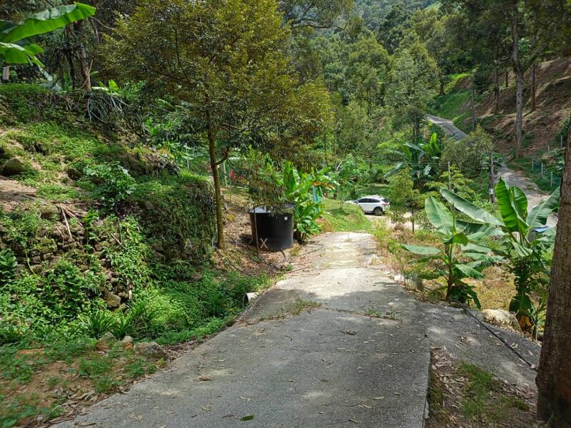 Agricultural Land for Sale in Balik Pulau (Penang) - Alex Loh - Exterior - PropertyGuru.com.my