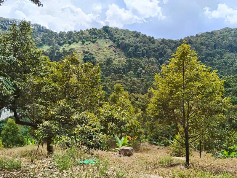 Agricultural Land for Sale in Balik Pulau (Penang) - Alex Loh - Exterior - PropertyGuru.com.my