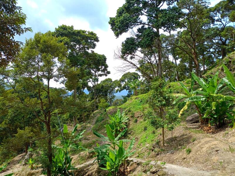 Agricultural Land for Sale in Balik Pulau (Penang) - Alex Loh - Exterior - PropertyGuru.com.my