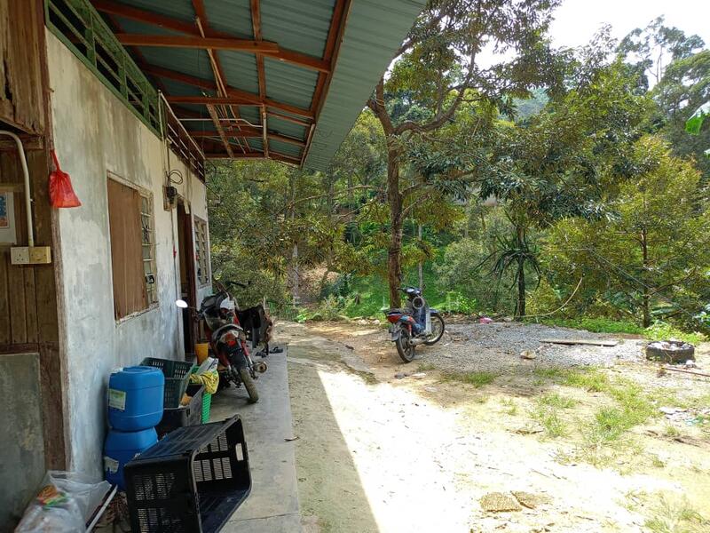 Agricultural Land for Sale in Balik Pulau (Penang) - Alex Loh - Exterior - PropertyGuru.com.my