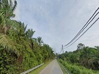 For Sale - Gemas @ Main Road Access Agriculture Land