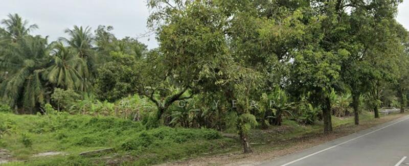 Agricultural Land for Sale in Kukup (Johor) - Ming Yeap - Exterior - PropertyGuru.com.my