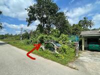 For Sale - Paya binjai dungun