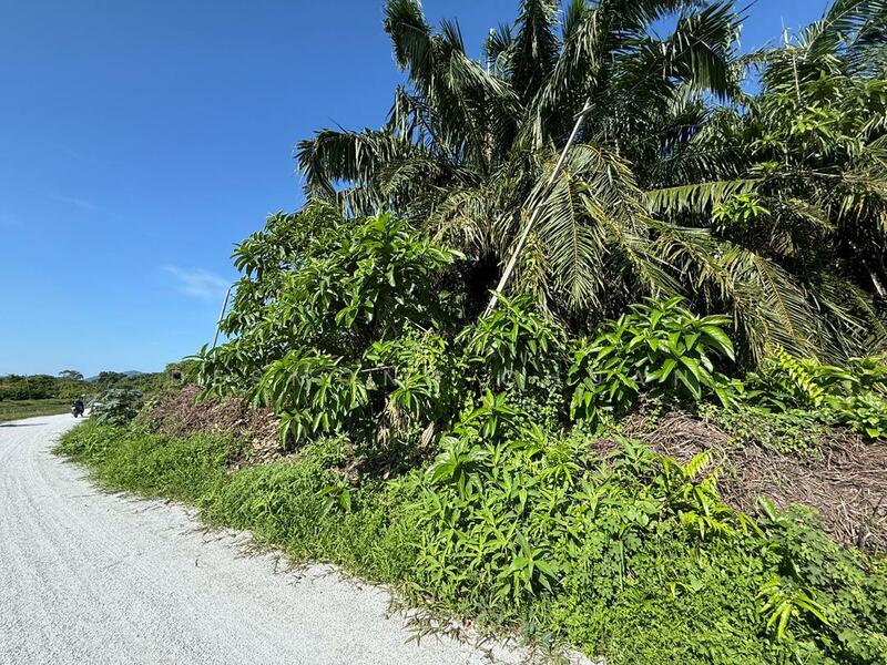 Other Property for Rent in Permatang Pasir (Permatang Pauh) - Desmond Chuah - Exterior - PropertyGuru.com.my