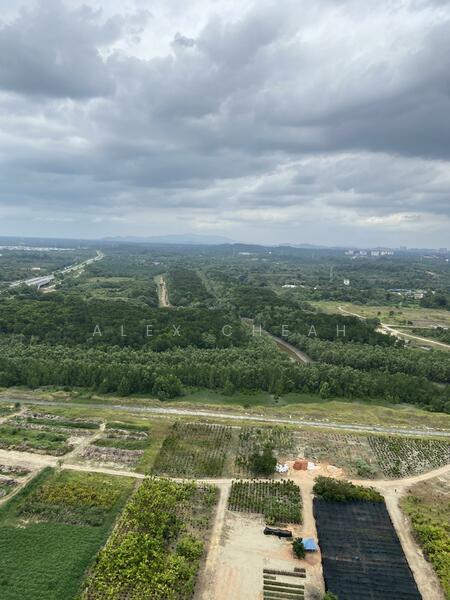 Apartment for Rent at Starview Bay @ Forest City - Alex Cheah - PropertyGuru.com.my