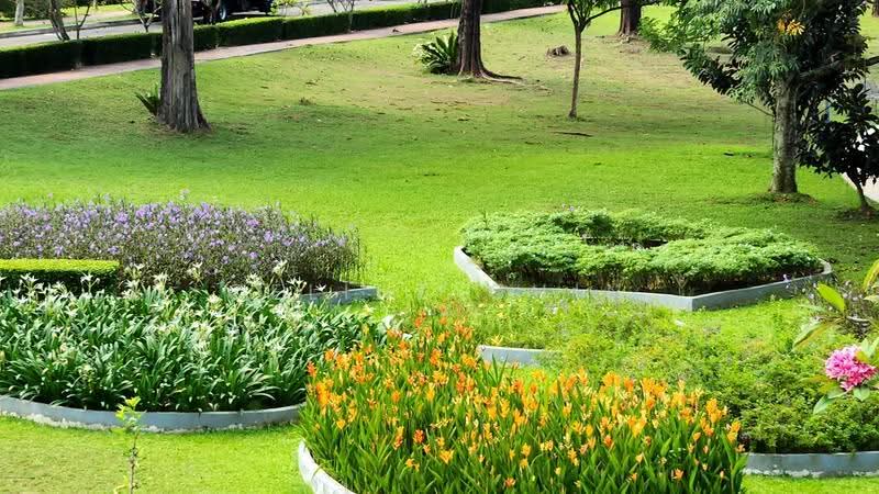 Rumah Teres 2-Tingkat untuk Dijual di Ara Damansara (Selangor) - Celine Chin - Garden - PropertyGuru.com.my