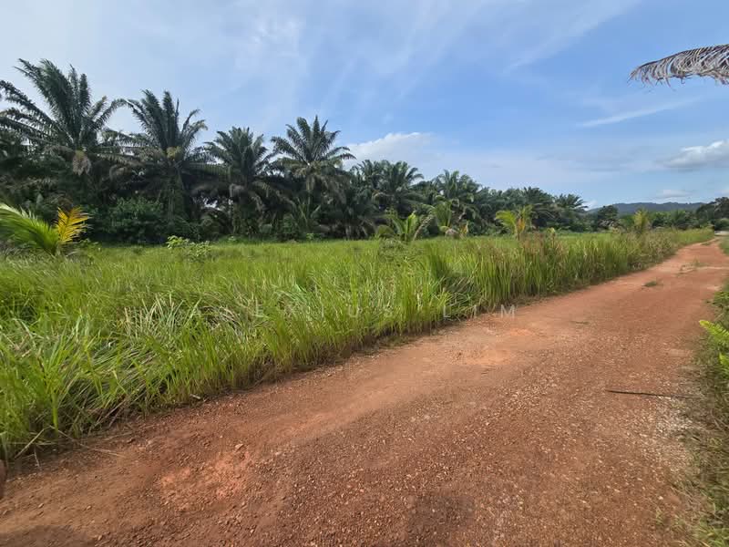Industrial Land for Sale in Pekan Nenas (Jeram Batu) - Alexius Lim - Exterior - PropertyGuru.com.my