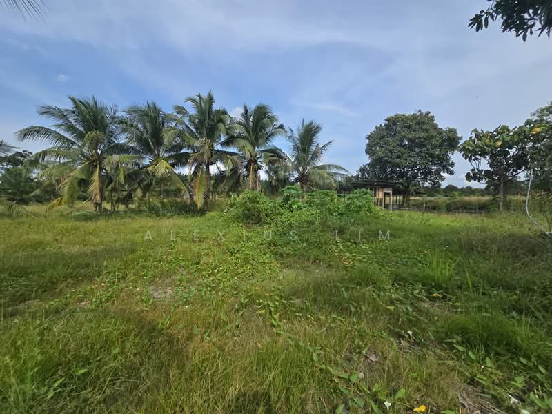 Industrial Land for Sale in Pekan Nenas (Jeram Batu) - Alexius Lim - Exterior - PropertyGuru.com.my